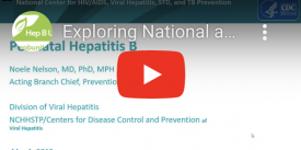 Exploring National and Local Approaches to perinatal Hep B prevention