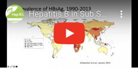 Hepatitis B in Sub Saharan Africa