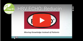 HBV ECHO reducing perinatal transmission
